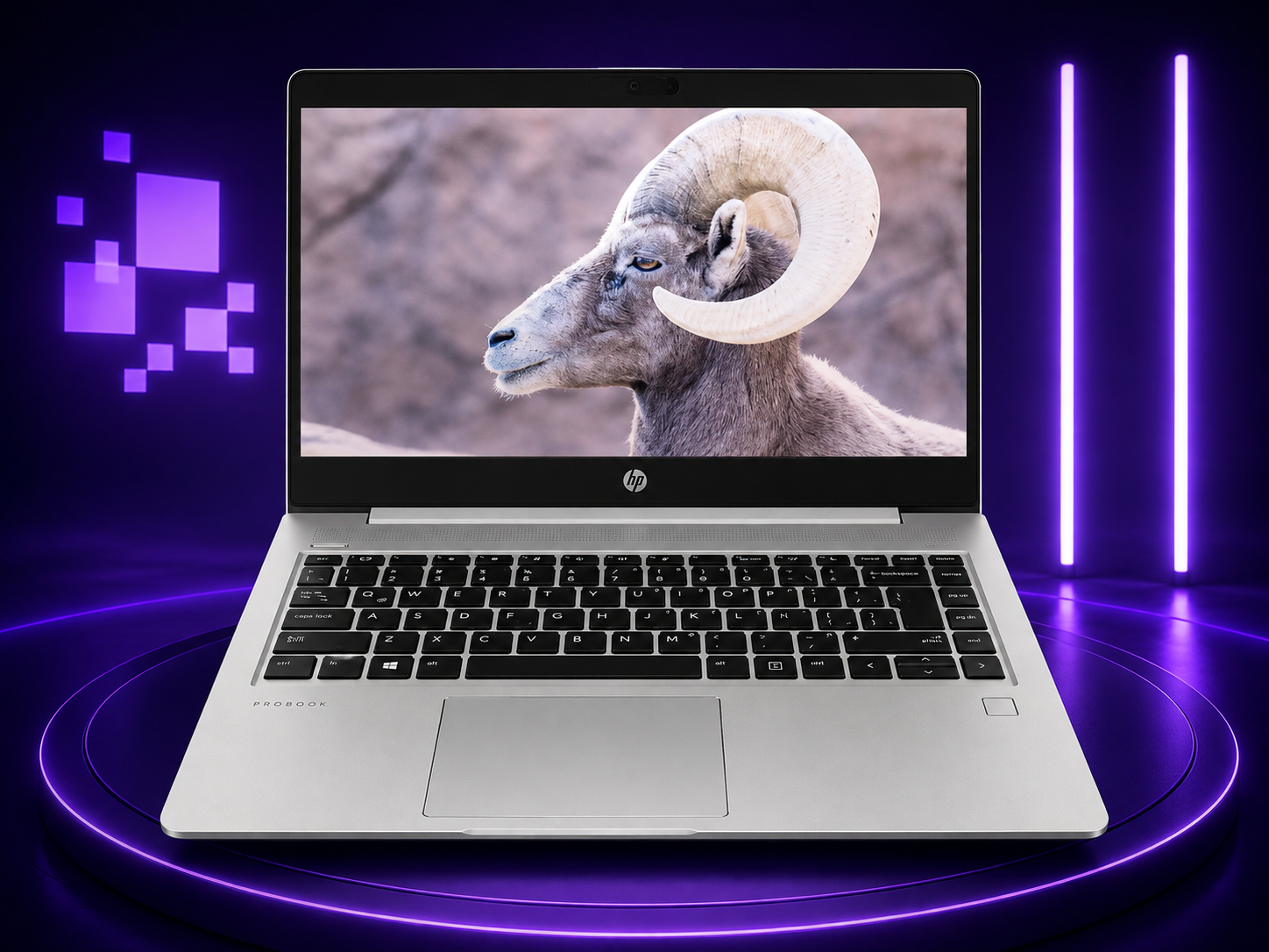 Portátil HP Ryzen 5 serie 4000 con 16GB RAM y SSD de 512GB